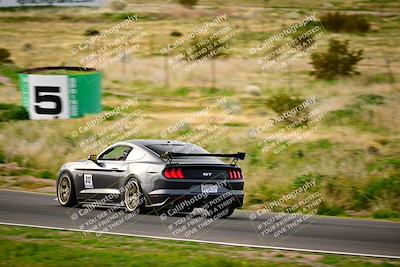 media/Feb-25-2024-Speed Ventures (Sun) [[b9a2a97a4d]]/Mustang Drivers Club/Session 1 (Turns 4 and 5)/